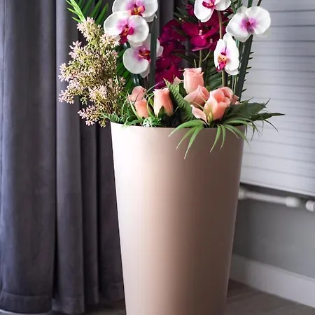 Apartman Sunshine Del Mar Mamaia